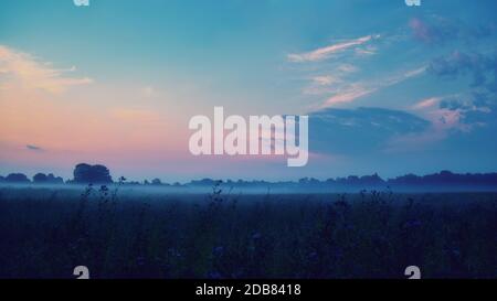 Blauer nebliger Morgen über einem Feld in der Nähe von Ahreshoop Stockfoto