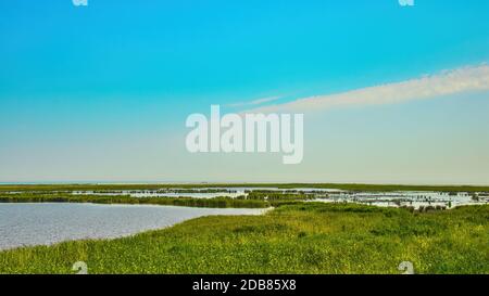 Blick über den darsser Ort an der ostsee in der Nähe vorw Stockfoto