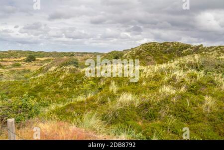 Eindruck von Spiekeroog, eine der Ostfriesischen Inseln an der Nordsee in Deutschland Stockfoto