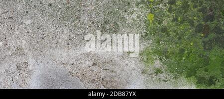 Breite verwitterte Betonwand mit grünem Moos nützlich als Hintergrund Stockfoto