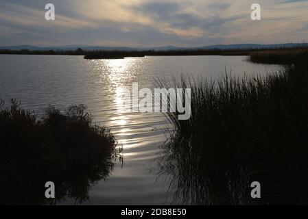 Abendlicht in den alten salinen von Gruissan in Südfrankreich Stockfoto