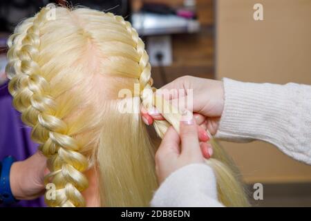Professionelle Flechten von Zöpfen durch einen Meisterfriseur in einem Schönheitssalon. Das Konzept der Haarpflege. Stockfoto
