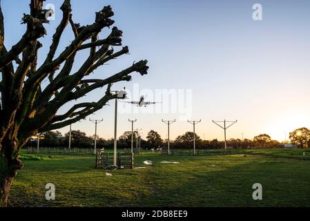 Das Flugzeug landet am Flughafen London Heathrow, Großbritannien, in der Morgendämmerung am sonnigen Herbstmorgen. Frühe Ankunft. Über Feld mit Pferden, nähern Lichter Stockfoto