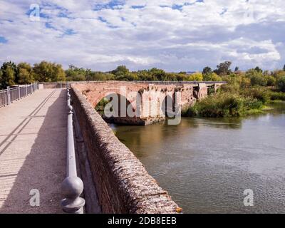 Puente romano. Talavera de la Reina. Toledo. Castilla la Mancha. España Stockfoto