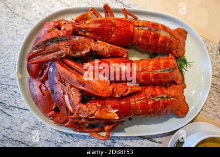 Drei gebutterte Lobster-Garnelen, ordentlich auf einem weißen Teller angeordnet Stockfoto