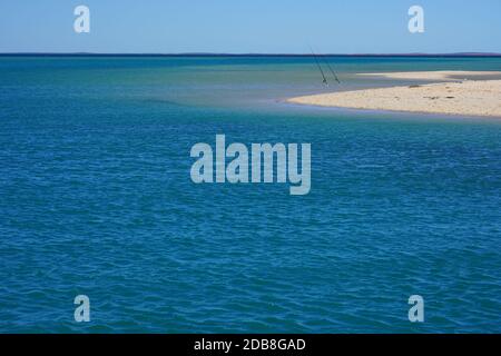 Blick auf den Strand in Monkey Mia, Shark Bay und Francois Peron National Park am Indischen Ozean, Westaustralien Stockfoto