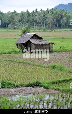 Landschaft in Bilor auf Bohol auf den Philippinen Stockfoto