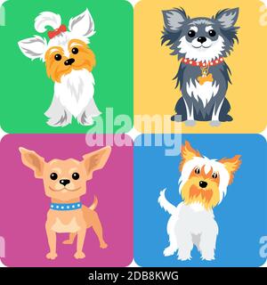 Set mit 4 Hunden Yorkshire Terrier und Chihuahua Rasse, Icon flaches Design Stockfoto