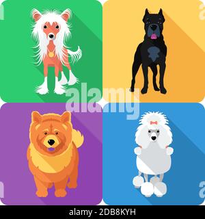 Vector Hund Pudel, Chow-Chow, Chinese Crested und Cane Corso Breed Standing Icon flaches Design Stockfoto