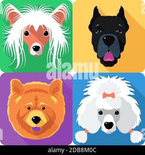 Vector Hund Pudel, Chow-Chow, Chinese Crested und Cane Corso Rasse Gesicht Symbol flaches Design Stockfoto