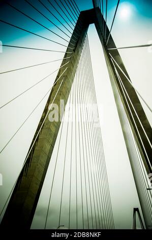 Kabel ofÃ‚Â Arthur Ravenel Jr. Bridge, Charleston, South Carolina, USA Stockfoto