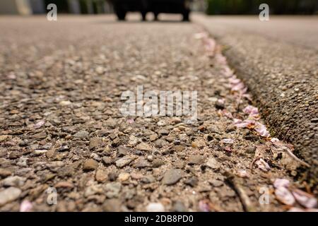 Nahaufnahme der Straße mit Aufnahmen aus dem niedrigen Winkel und Nahaufnahme Stockfoto