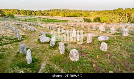 Carnac Stones, Bretagne, Frankreich Stockfoto