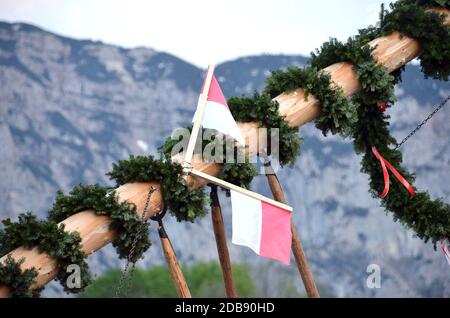 Maibaum-Aufstellungen in Steinbach, Attersee (Bezirk Vöcklabruck, Oberösterreich, Österreich) - ein Maibaum ist ein geschmückter Baum oder Baumstamm, der Stockfoto