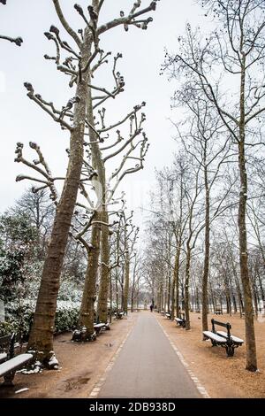 PARIS, FRANKREICH - MÄRZ 2018: Der Garten des Palais du Luxembourg an einem eisigen Wintertag kurz vor dem Frühling Stockfoto