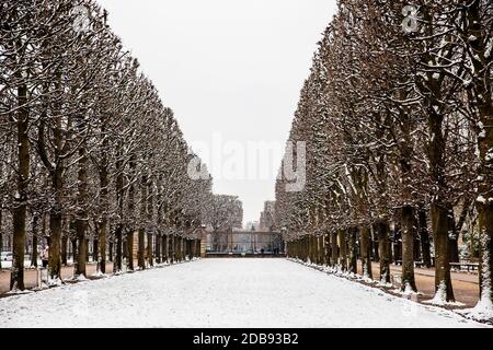 PARIS, FRANKREICH - MÄRZ 2018: Der Garten des Palais du Luxembourg an einem eisigen Wintertag kurz vor dem Frühling Stockfoto
