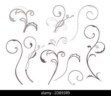 Set von Vektor wirbeln florale Elemente. Stock Vektor