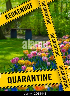 Quarantänezone Sperrgebiet in Keukenhof. Tulpenpark Keukenhof - Blumengarten, Holland. Bunte Tulpen im Keukenhof Park, Niederlande. Dang Stockfoto