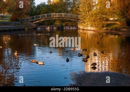 Herbstlandschaft mit einem Teich und einer Brücke darüber Stockfoto