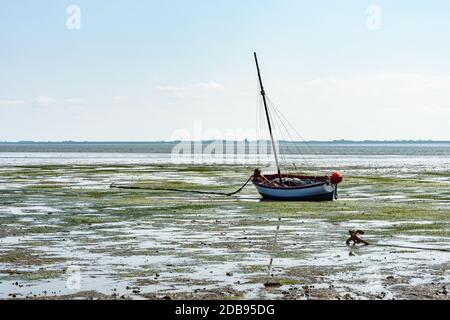 Boot am Wattenmeer bei Niederen Gezeiten, Hallig Hooge, Nationalpark Schleswig-Holstein Wattenmeer, Nordfriesland, Deutschland Stockfoto