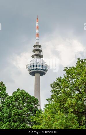 Luisenpark Mannheim Stockfoto