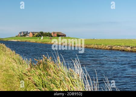 Typische Terp mit Tidal Creek im Vordergrund bei Hallig Hooge in Nordfriesland, Wattenmeer, Deutschland Stockfoto