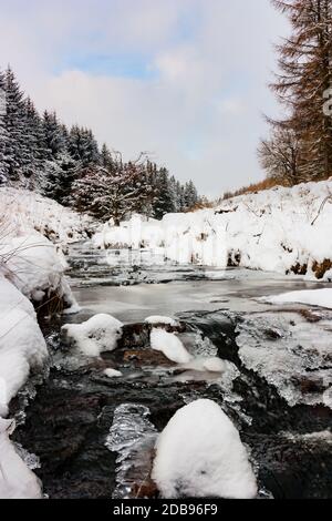 Kleiner Bach, der durch eine kalte, schneebedeckte Waldlandschaft fließt Stockfoto