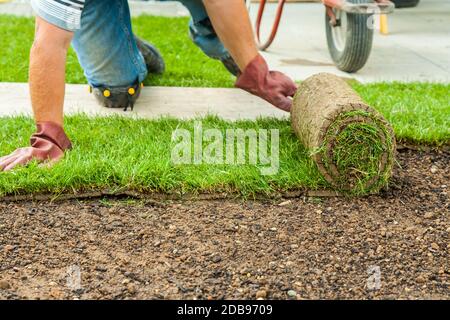 Gartenarbeit - Gärtner legt Spatenstich für den neuen Rasen Stockfoto