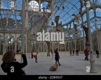 Besucher und Touristen besuchen eine Ausstellung im Cystal Palace im Retiro Park im Zentrum von Madrid, Spanien. Stockfoto