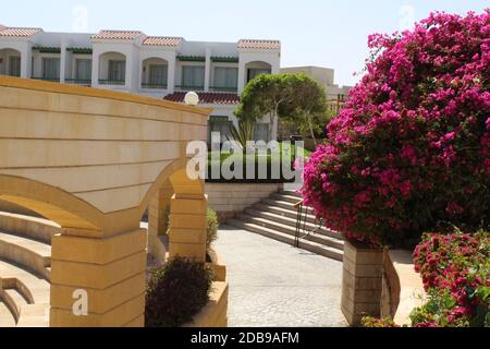 Schönes Amphitheater im Hotel von Ägypten Stockfoto