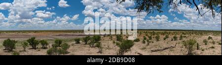 Panorama-Blick auf die Landschaft des Khaudum-Nationalparks im Nordosten Namibias Stockfoto