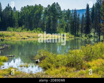 Teich in der Nähe der alten Ranger Station, West Bench Trail, Grand Mesa, Colorado. Stockfoto