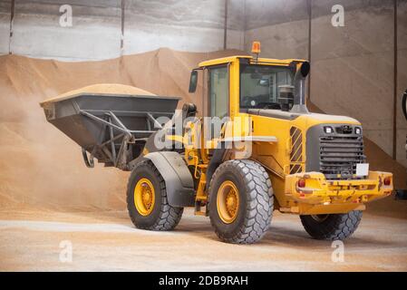 Bagger Schaufel laden Korn. Grossen Haufen von Korn in einem Lagerhaus in der Lebensmittelindustrie geeignet. Stockfoto
