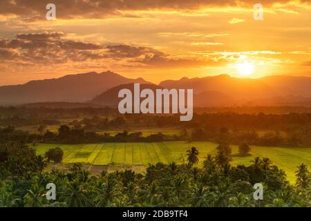 Schöne Landschaft von frischen grünen Tee Plantagen und Reisfelder in mildem orange Sonnenuntergang Licht, traditionelle landwirtschaftliche Tal, exotische Natur, Sri La Stockfoto