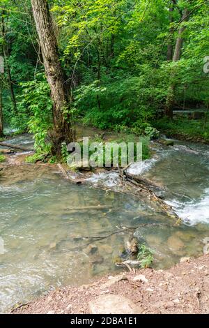 Lower Decew Conservation Area Ontario Kanada Stockfoto