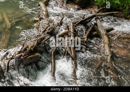 Lower Decew Conservation Area Ontario Kanada Stockfoto