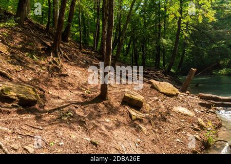 Lower Decew Conservation Area Ontario Kanada Stockfoto