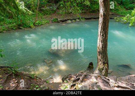 Lower Decew Falls Conservation Area unteren Bach Stockfoto