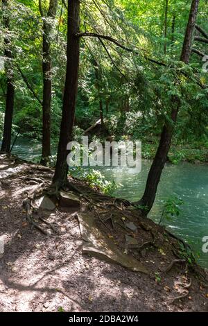 Lower Decew Falls Conservation Area unteren Bach Stockfoto