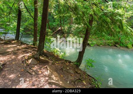 Lower Decew Falls Conservation Area unteren Bach Stockfoto
