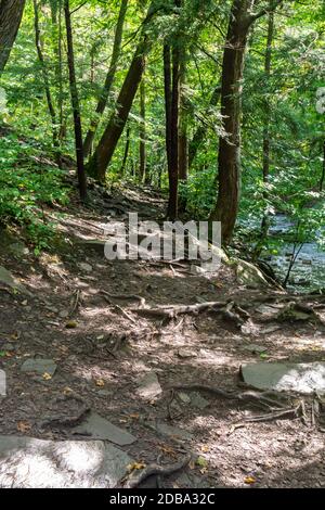 Lower Decew Falls Conservation Area unteren Bach Stockfoto