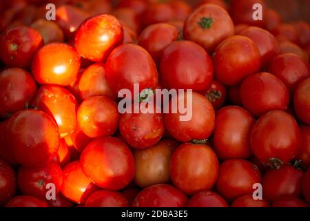 Köstliche rote Tomaten. Sommertablett Markt Landwirtschaft Betrieb voller Bio-Gemüse Kann Es als Hintergrund verwendet werden Stockfoto