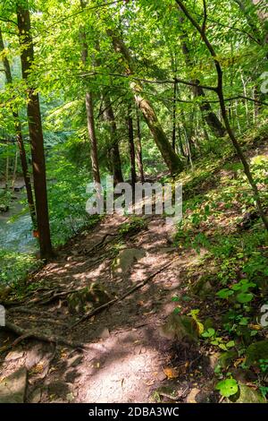 Lower Decew Falls Conservation Area unteren Bach Stockfoto