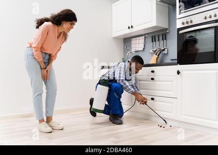 Männliche Arbeiter Sprühen von Insektiziden Vor Hausfrau in der Küche Stockfoto