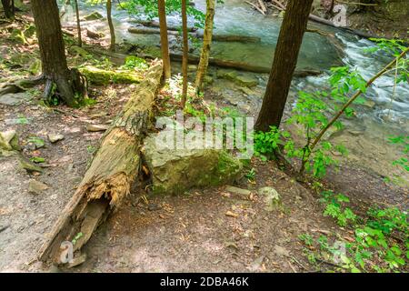 Lower Decew Falls Conservation Area unteren Bach Stockfoto