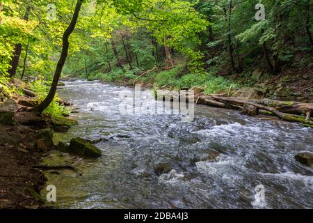 Lower Decew Falls Conservation Area unteren Bach Stockfoto