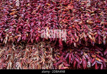 Getrocknete Paprika im Mercado dos Lavradores, Funchal, Madeira, Portugal Stockfoto