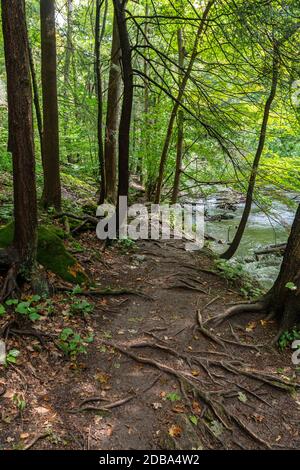 Lower Decew Falls Conservation Area unteren Bach Stockfoto