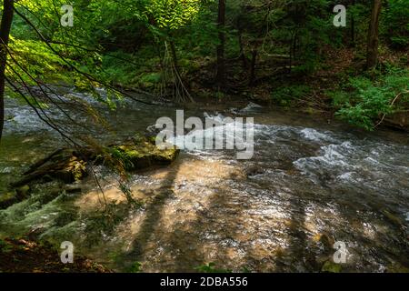 Lower Decew Falls Conservation Area unteren Bach Stockfoto
