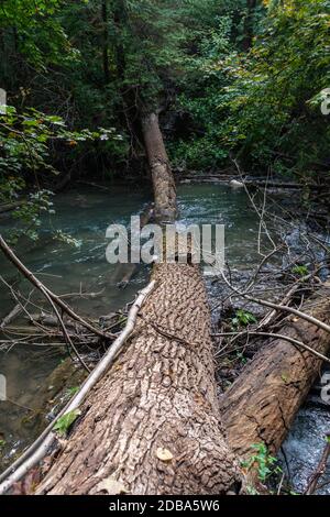 Lower Decew Falls Conservation Area unteren Bach Stockfoto
